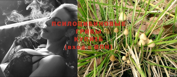 винт Карпинск