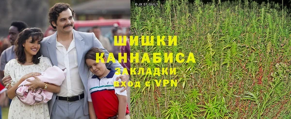 винт Карпинск